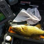 2015 july 23 lake mendota