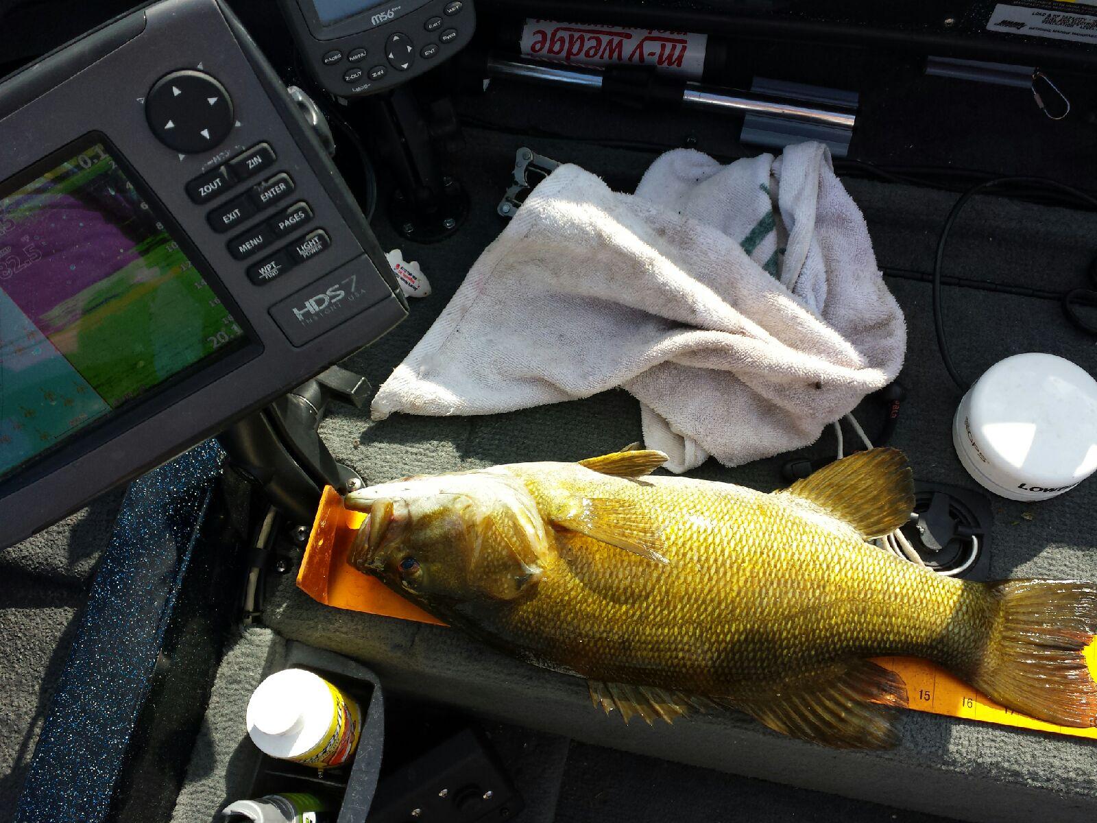 Fishing report lake mendota